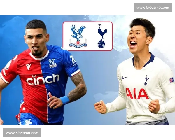 足球赛事精彩比分回顾：各大联赛战况纵览与比分分析