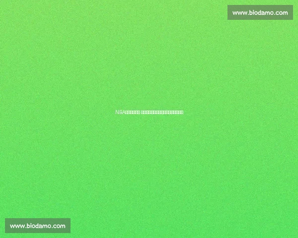 NBA直播比分更新 快速了解最新赛事动态与精彩数据分析