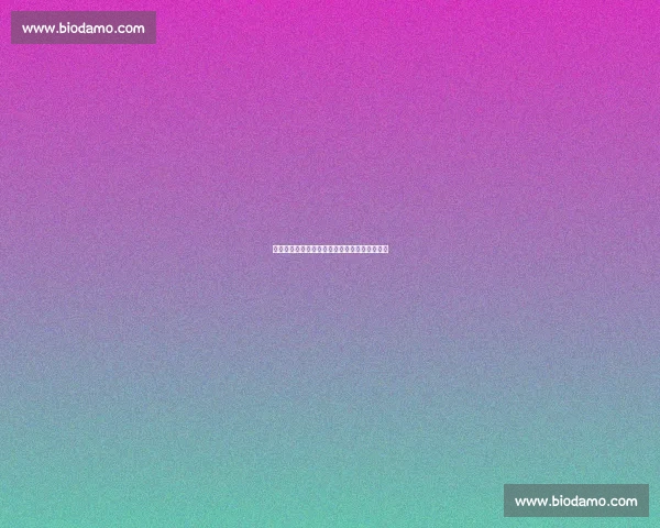 法甲最新赛季全面解析球队表现与球星动态预测